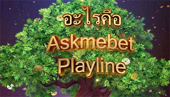 อะไรคือ Playline