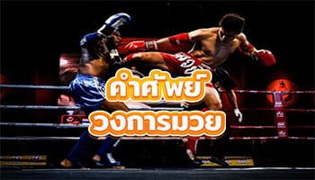 คำศัพย์วงการมวย