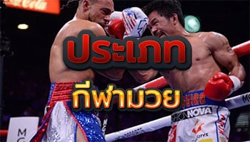 ประเภทกีฬามวย