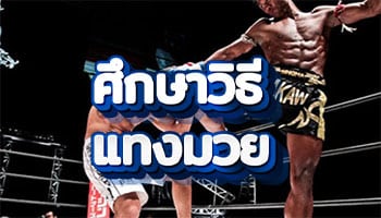 ศึกษาวิธีแทงมวย