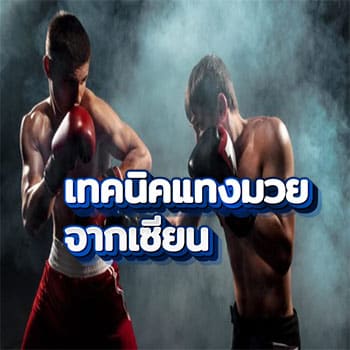 เทคนิคแทงมวยจากเซียน