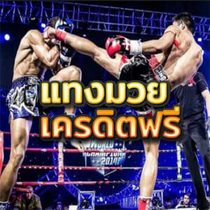 แทงมวย-เครดิตฟรี