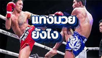 แทงมวยยังไง