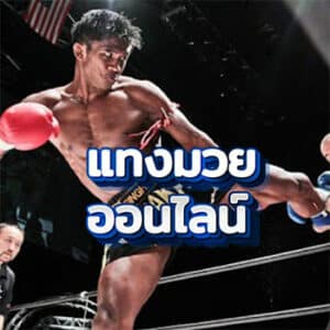 แทงมวยออนไลน์