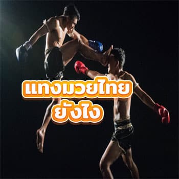 แทงมวยไทยยังไง