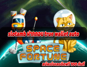 slotamb ฝากถอน true wallet auto